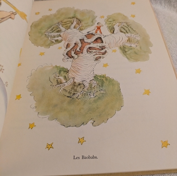 Le Petit Prince Book by Antoine de Saint-Exupéry 1943 - Picture 8 of 11